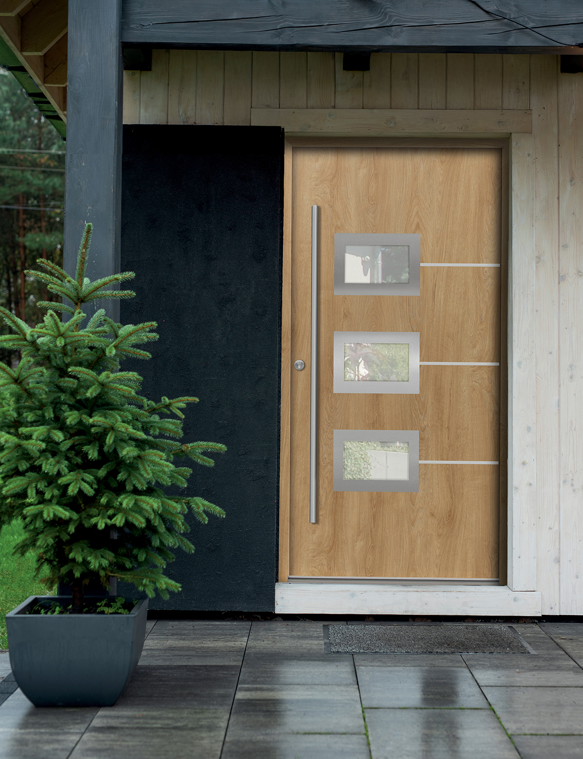 Vchodové (vstupné) dvere na rodinnom dome