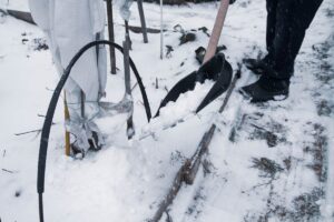 Čomu sa vyhnúť v decembri: 8 chýb, ktoré robia v zime záhradkári a pestovatelia najčastejšie