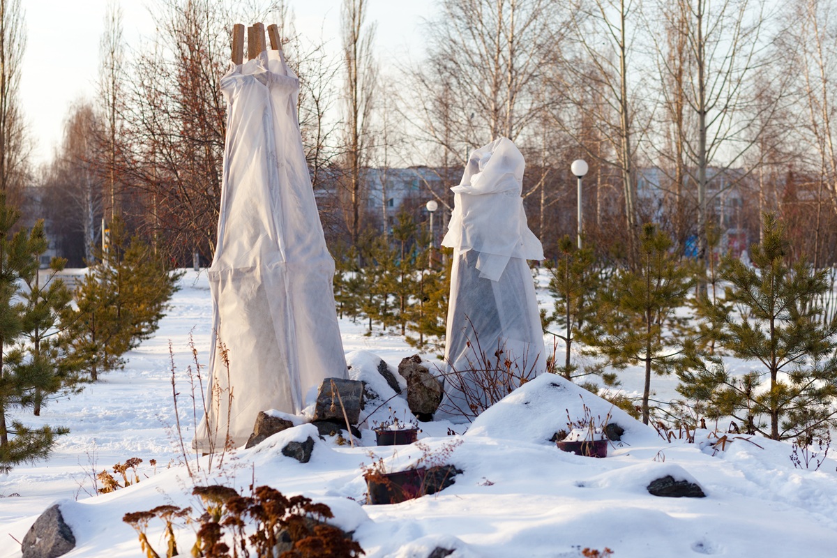 Zazimovaná záhrada