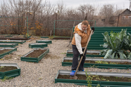 Úprava záhrady v zime