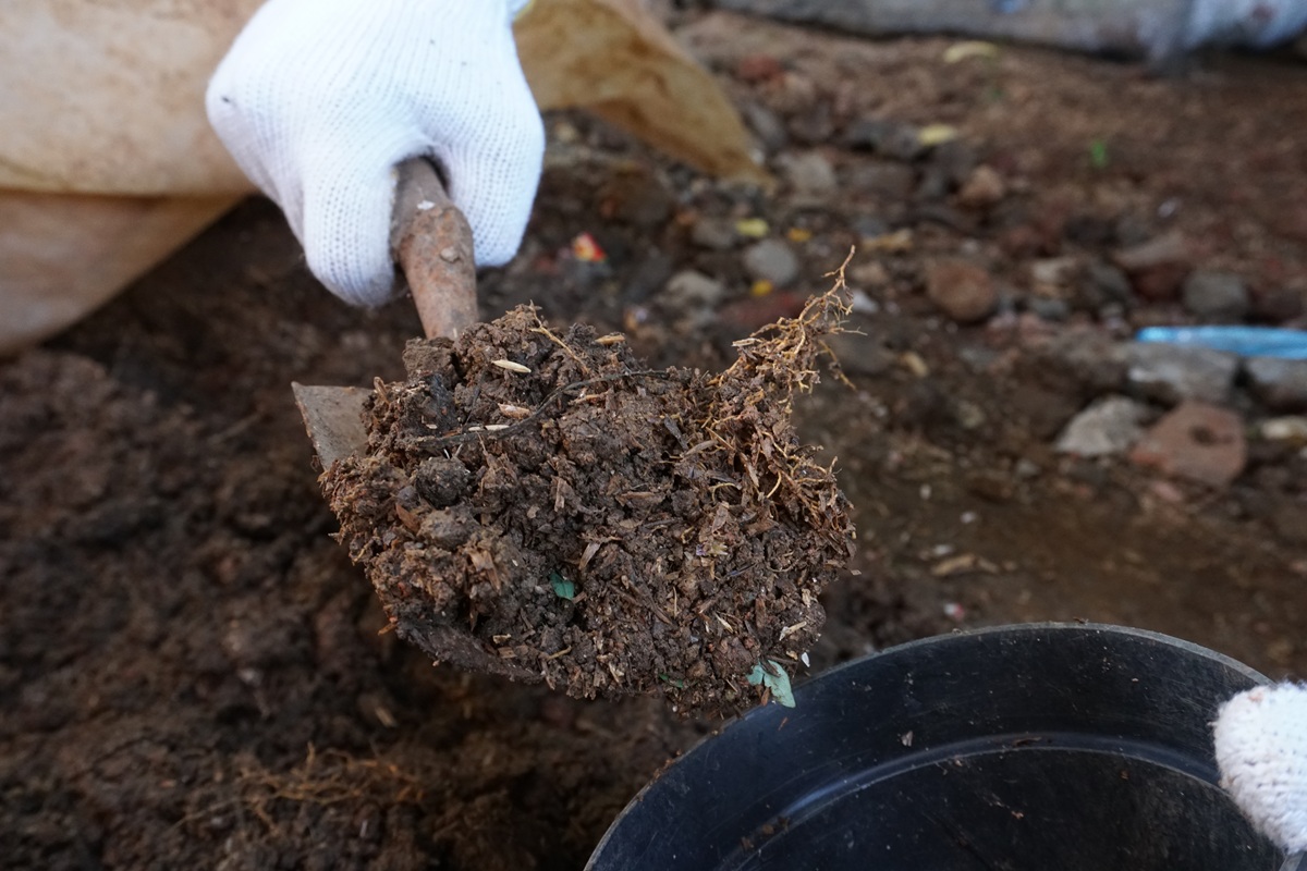 Питательный грунт из кротовины