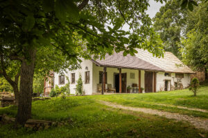 Nová fasáda ich stála iba 9 €! Svojpomocne a bez úverov zrekonštruovali ruinu na konci dediny Polom