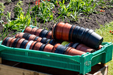 Plastové kvetináče v záhrade