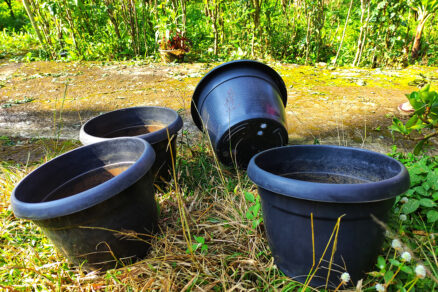 Čierne plastové kvetináče v záhrade