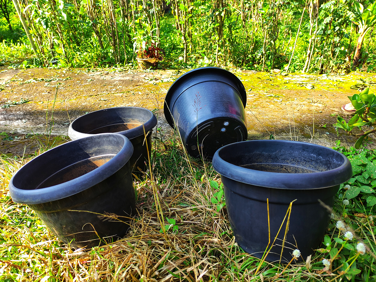 Čierne plastové kvetináče v záhrade