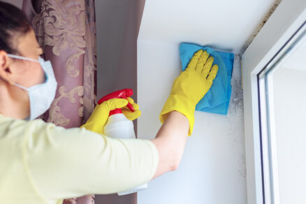 Odstraňovanie plesní v byte