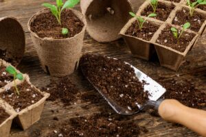 Substráty v obchodoch: Podľa čoho na jar vyberať a na čo si dať pozor?