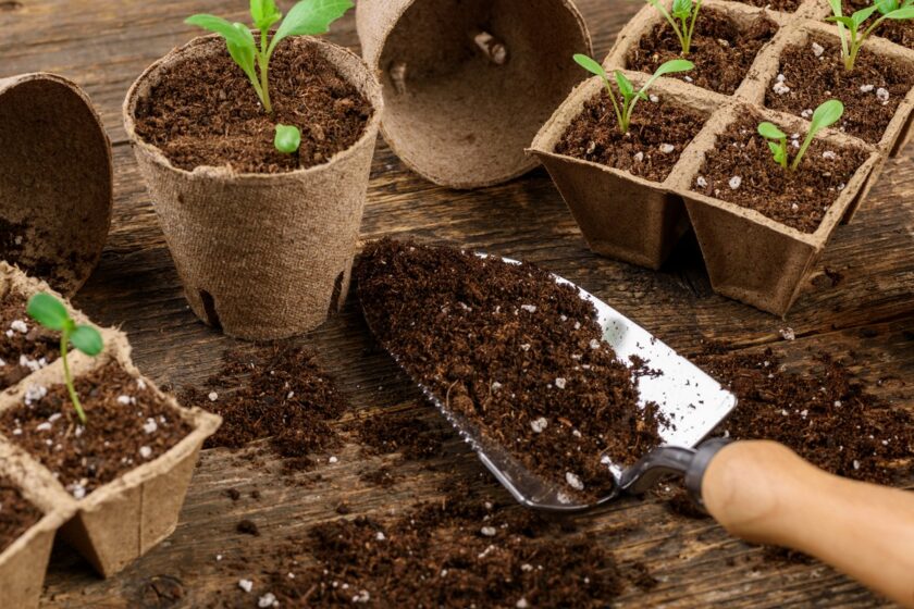 Kvalitný pôdny substrát pre priesady