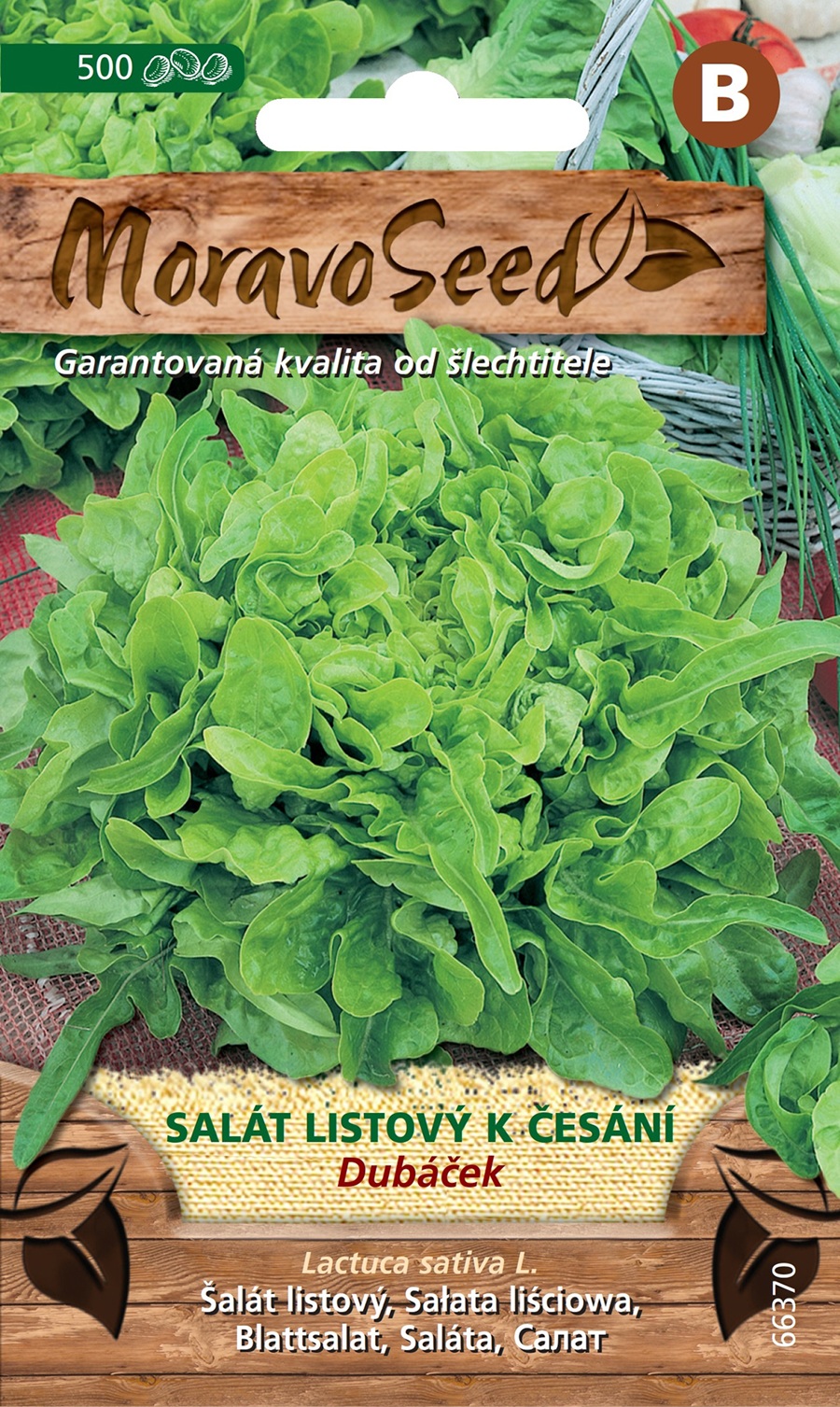 Semienka listového šalátu DUBÁČEK