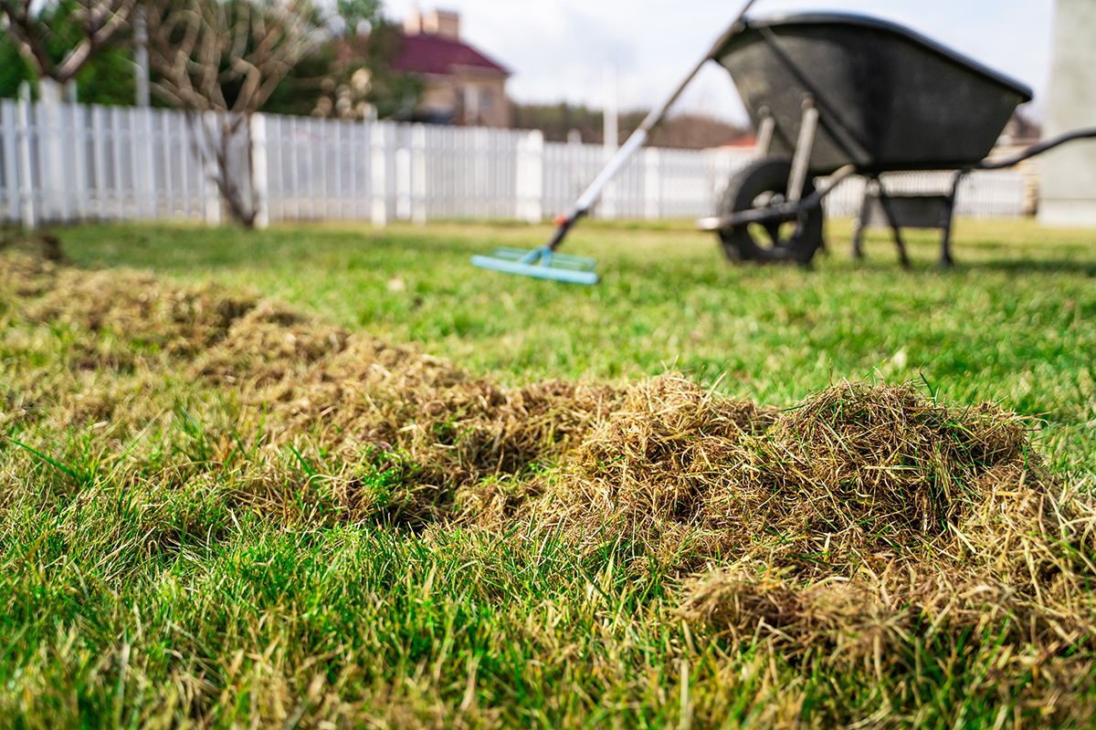 Jemné vyčesanie trávnika hrabľami na jar