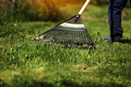 Jemné vyčesanie trávnika hrabľami na jar