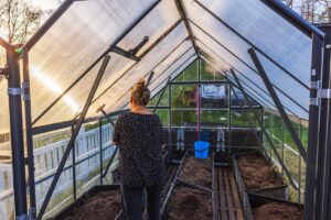 Teraz je ideálny čas! Ako vydezinfikovať skleník pred prvou výsadbou