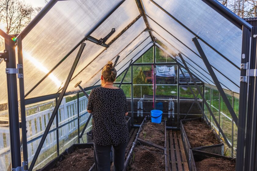Čistenie a dezinfekcia skleníka