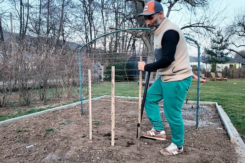 Prípravok na zapichovanie oporných kolíkov na paradajky
