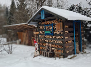 Drevo v bezpečí a folklór na priedomí: Róbert si postavil prístrešok v štýle starých dreveníc