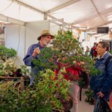 Veľtrh záhradkár v Trenčíne