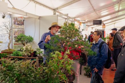 Veľtrh záhradkár v Trenčíne
