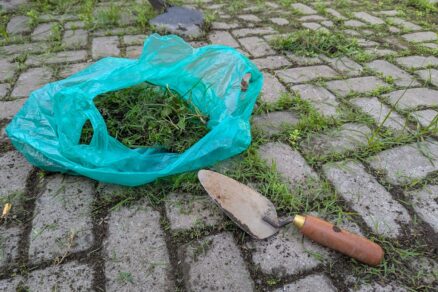 Mechanické čistenie zámkovej dlažby od buriny