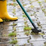 Vyzerá vaša zámková dlažba po zime zle? 6 krokov, ako ju vyčistiť profesionálne a bez poškodenia