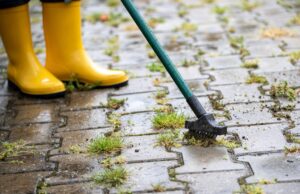 Vyzerá vaša zámková dlažba po zime zle? 6 krokov, ako ju vyčistiť profesionálne a bez poškodenia