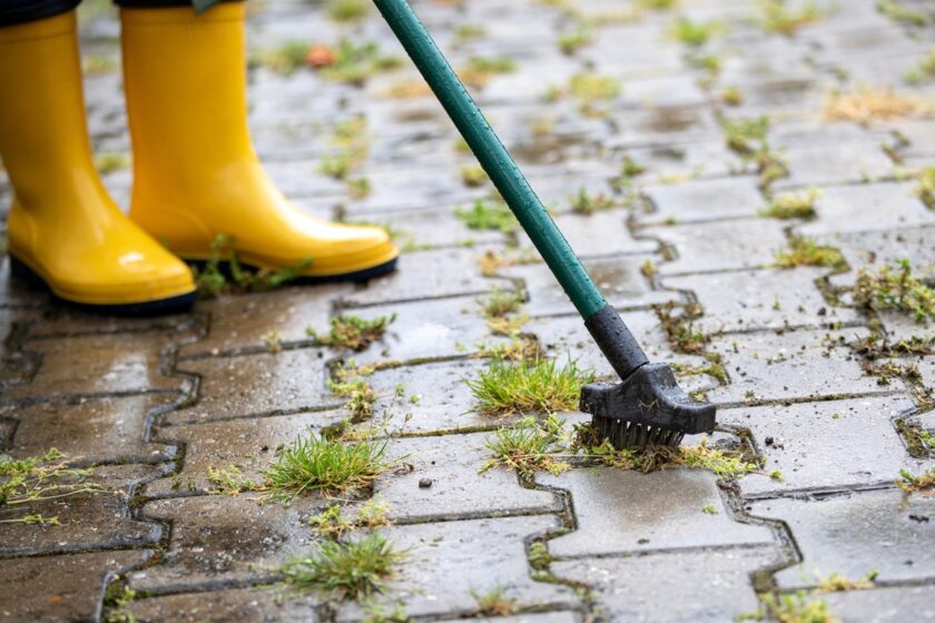 Čistenie dlažby so špeciálnou škárovacou kefou