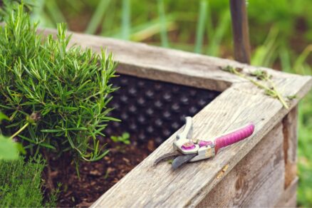 Stavba vyvýšeného záhonu