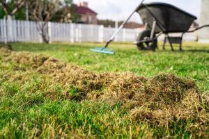 Trávnik a rýchle riešenia kríz: Čo s holými miestami, plesňou a machom?