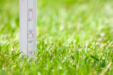 Výška trávnika v záhrade