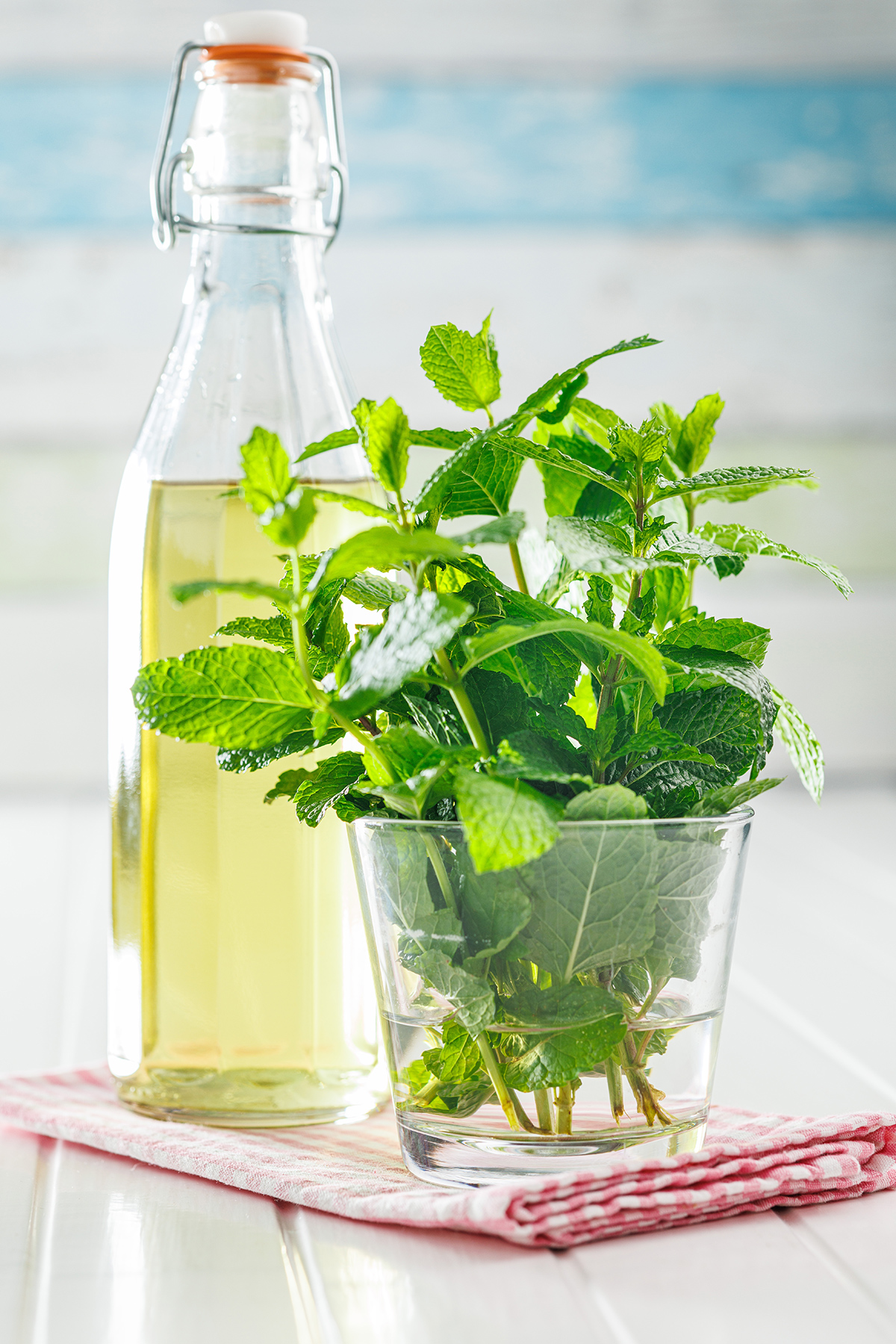 Domáci mätový sirup