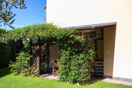 Pergola pri rodinnom dome s popínavkami