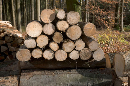 Kúrenie drevom súťaž husqvarna - GA850-0595