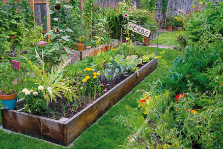 Okrasná zeleninová záhrada