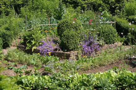Rok v zeleninovej záhrade + bioochrana - shutterstock_524569393