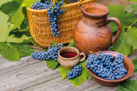 Výroba domáceho vína