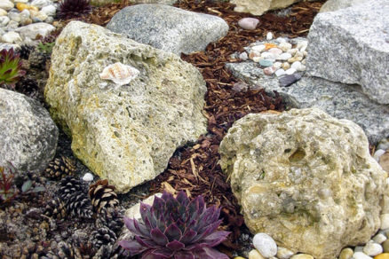 Využitie kameňov v okrasnej záhrade