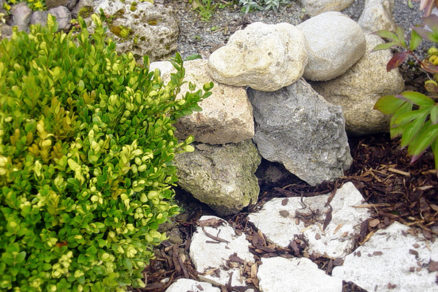 Využitie kameňov v okrasnej záhrade
