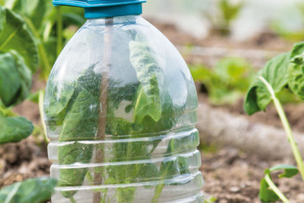 Záhradka v plastovej fľaši