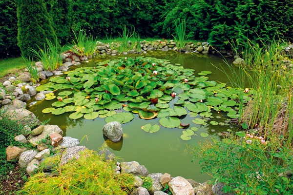 ako vytvorit zahradne jazierko bez drahych technologii