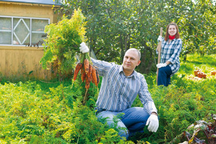 Tipy na dopestovanie zdravej zeleniny z vlastnej záhrady