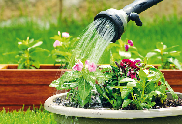 Ako efektívne polievať záhradu alebo Desatoro zavlažovania