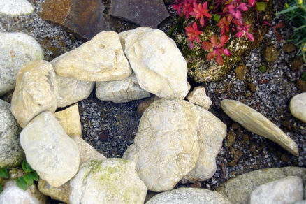 Ako využiť kamene v záhrade?