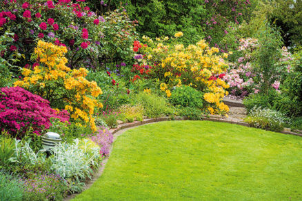 Ako podporiť kvitnutie rastlín v okrasnej záhrade