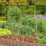 Aj zeleninová záhradka môže byť okrasná. Ako na to?