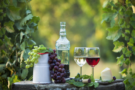 Domáce vínne likéry, tinktúry a maceráty: Urobme z vína liek!