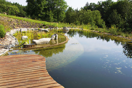 Prírodné ekologické jazierko pri dome vhodné aj na plávanie