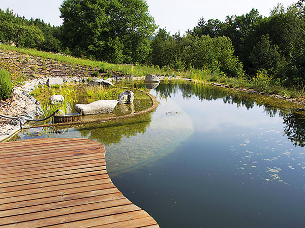 Prírodné ekologické jazierko pri dome vhodné aj na plávanie
