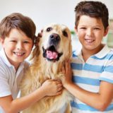 7 užitočných rád pre psíčkarov: Čo pes potrebuje