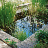 jazierka a vodne nadrze prijemne spestrenie vasej zahrady
