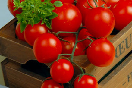 Picolino® koktailové paradajky
