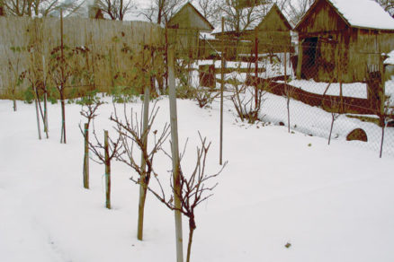 zahradkar v zime